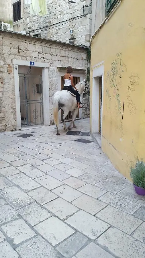 Room-Ivann Split Hostel